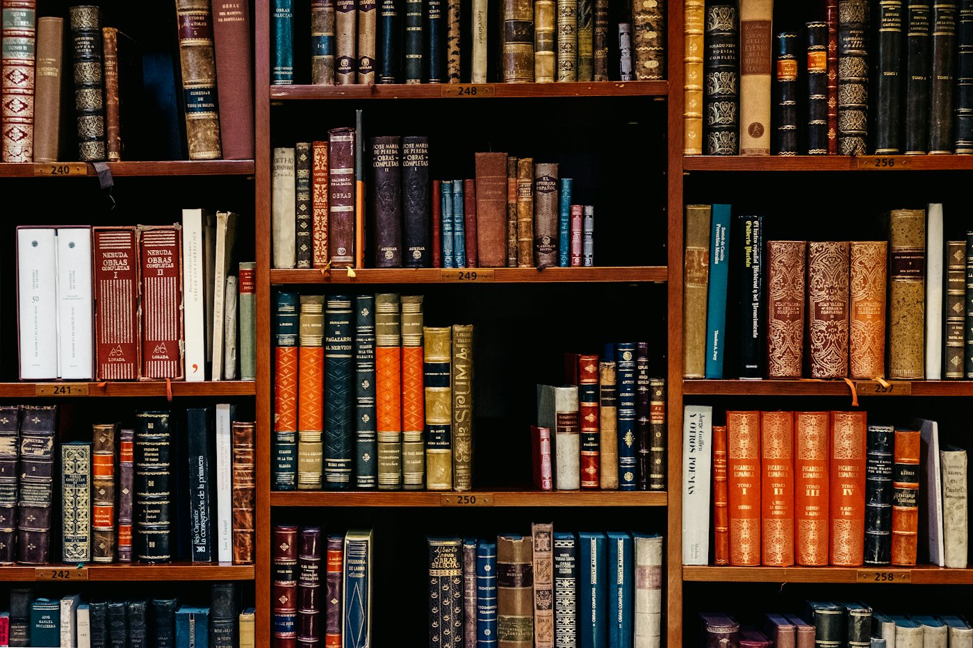 A full wall of catalogued books